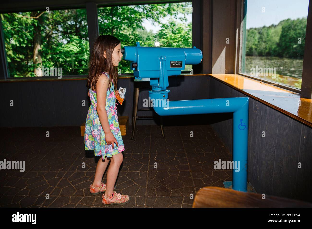 A little girl looks out through large binoculars at birds on pond Stock Photo
