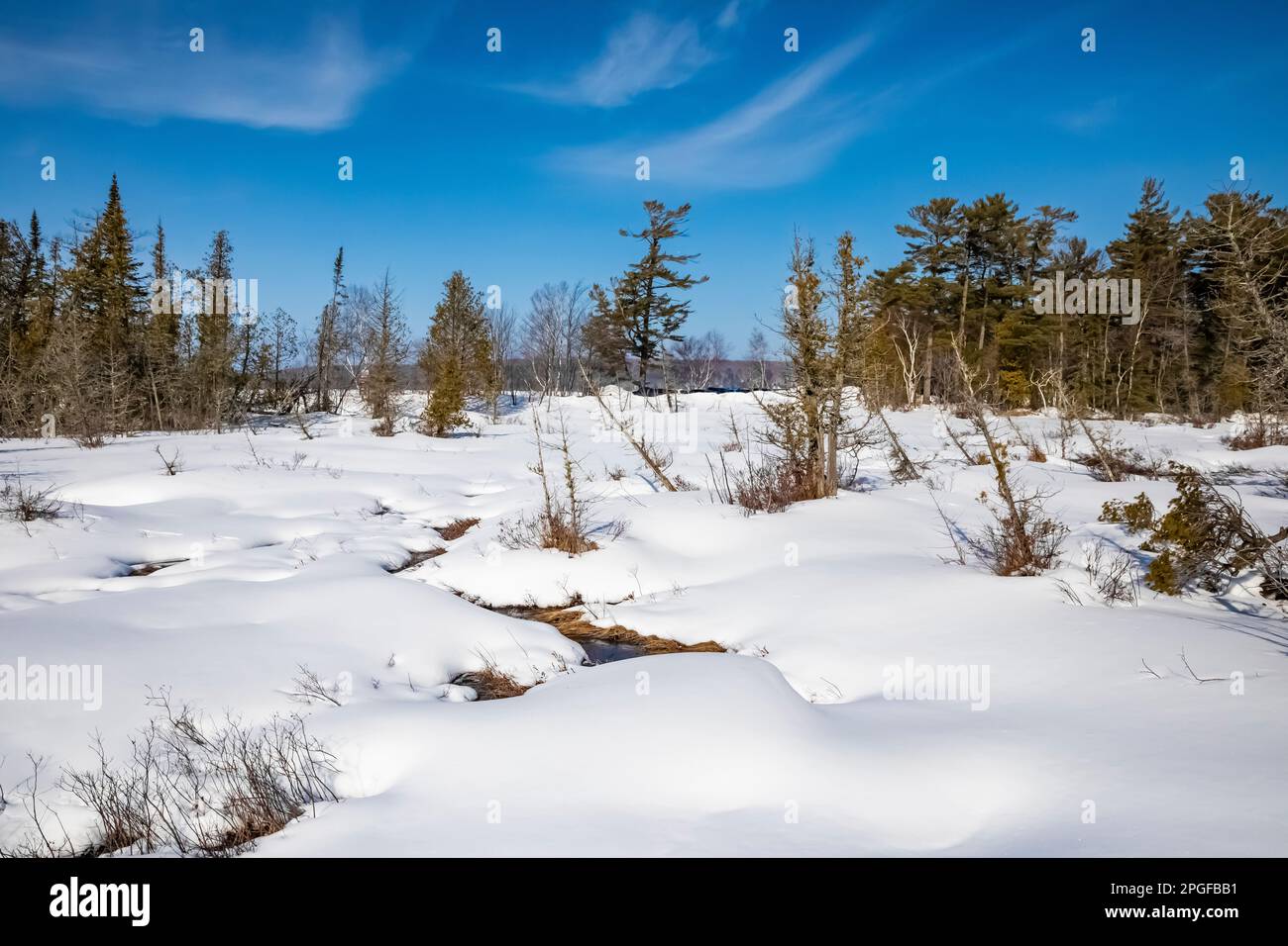 Sand Point Marsh Trail in winter, Pictured Rocks National Lakeshore, Upper Peninsula, Michigan, USA Stock Photo