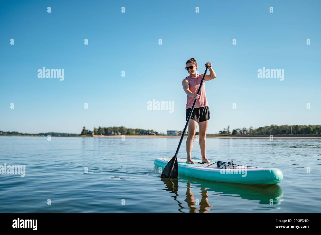 Woman on standup paddleboard on ocean in summer Stock Photo Alamy