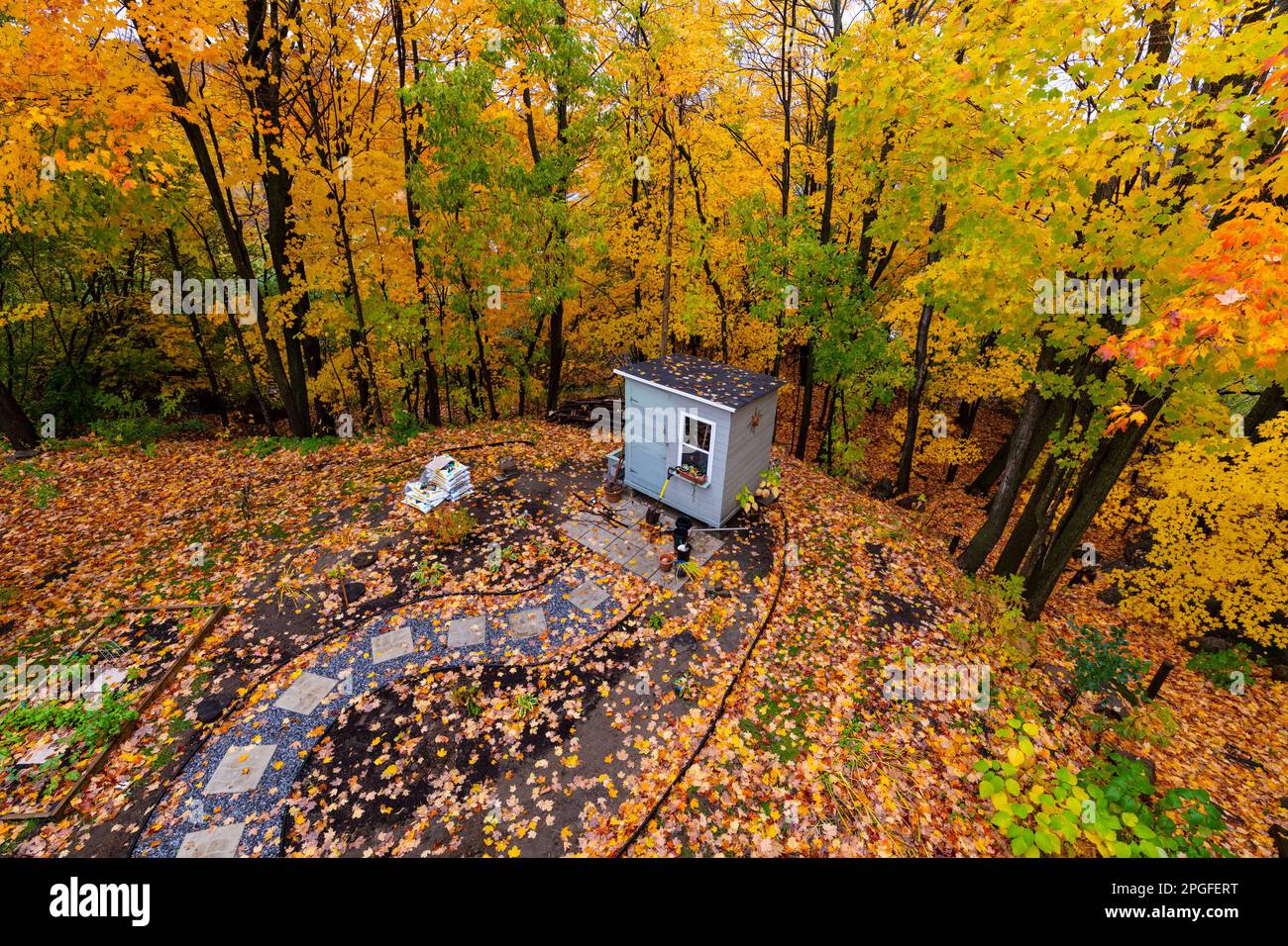 Autumn colours in the Laurentians, BrownsburgChatham, Quebec, Canada
