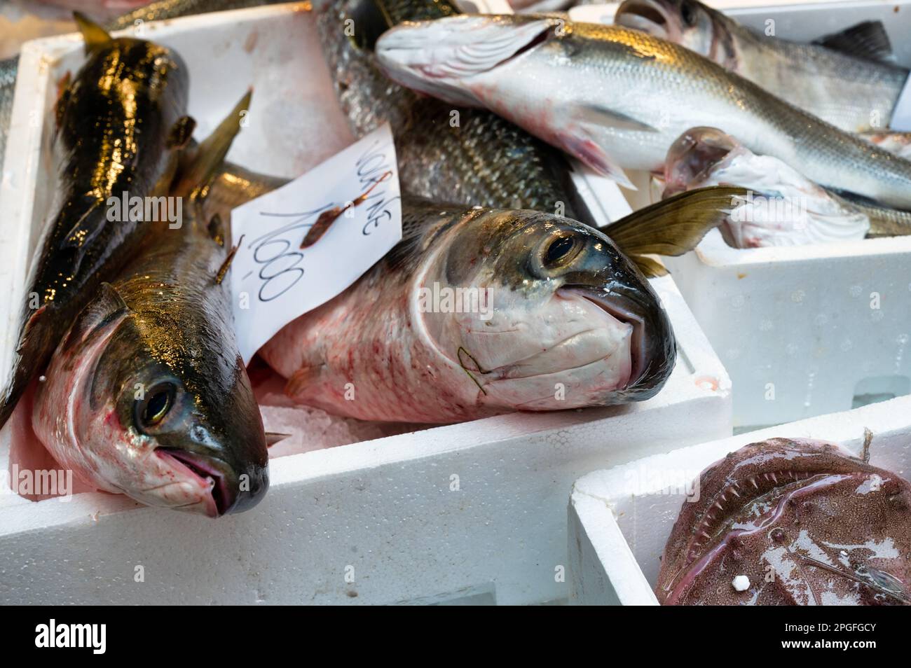 Fresh fish displayed at a Fish Market in Venice, Italy Stock Photo Alamy