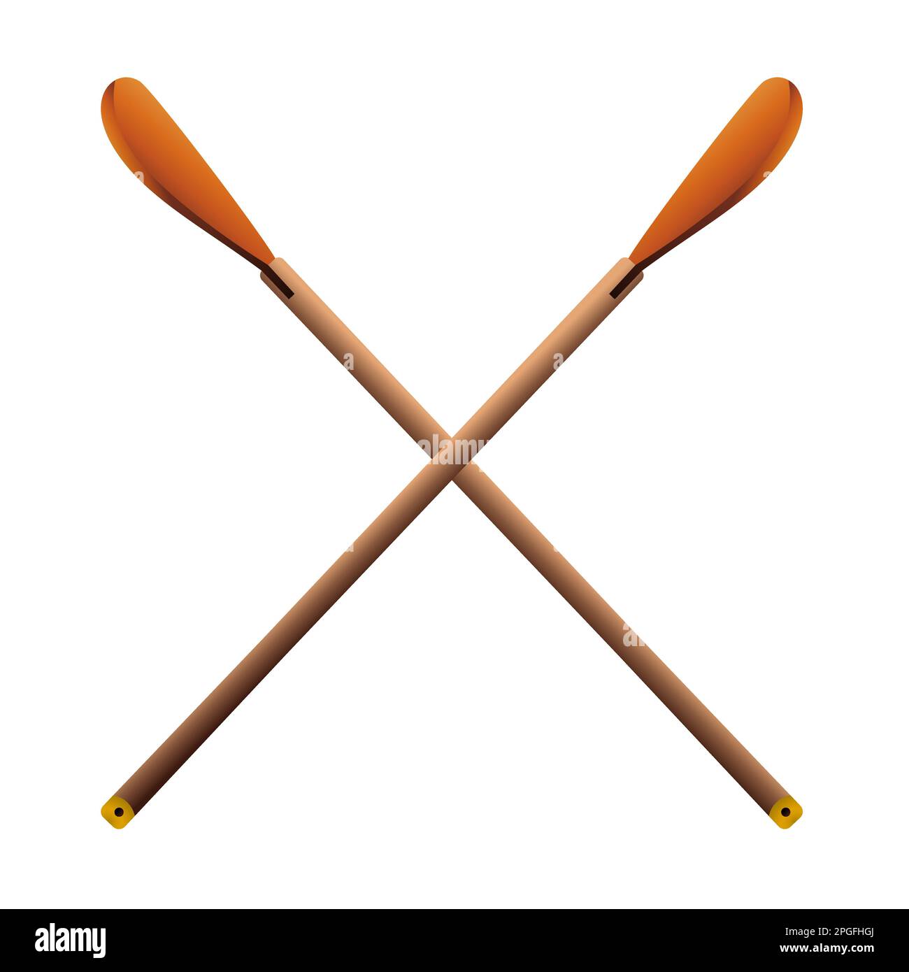 Crossed oars in realistic style. Canoe paddles. Colorful vector