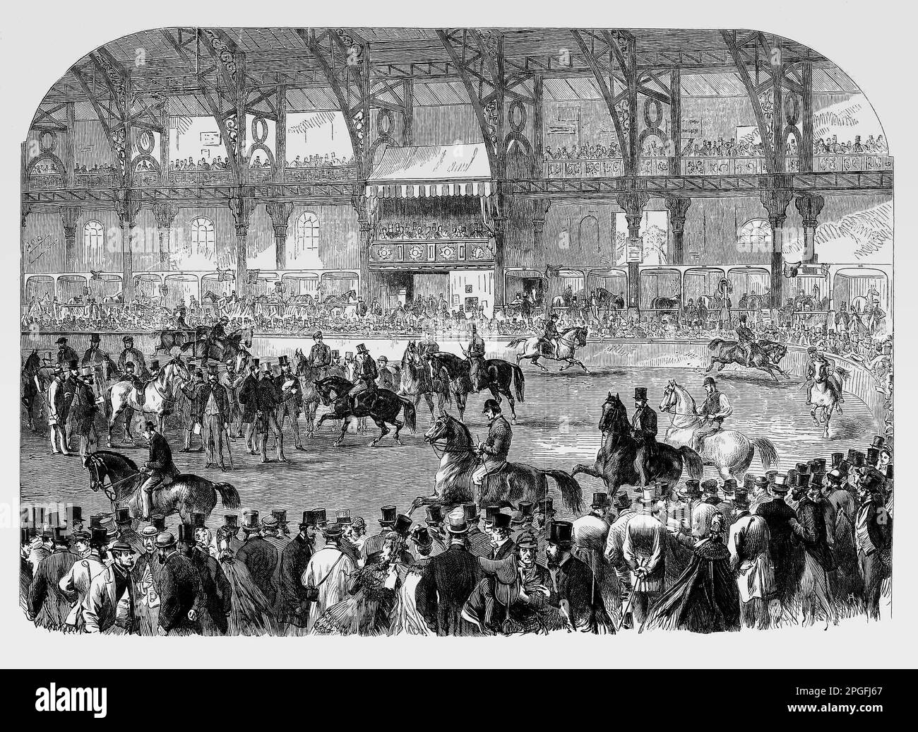 The 1864 Horse Show in the Agricultural Hall, Islington,  established in 1860, to provide a suitable building for the exhibition of agricultural implements and other aspects of country life. Stock Photo