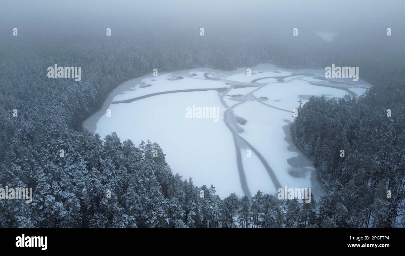 An aerial view of a snowy forest, with dense evergreen trees Stock ...