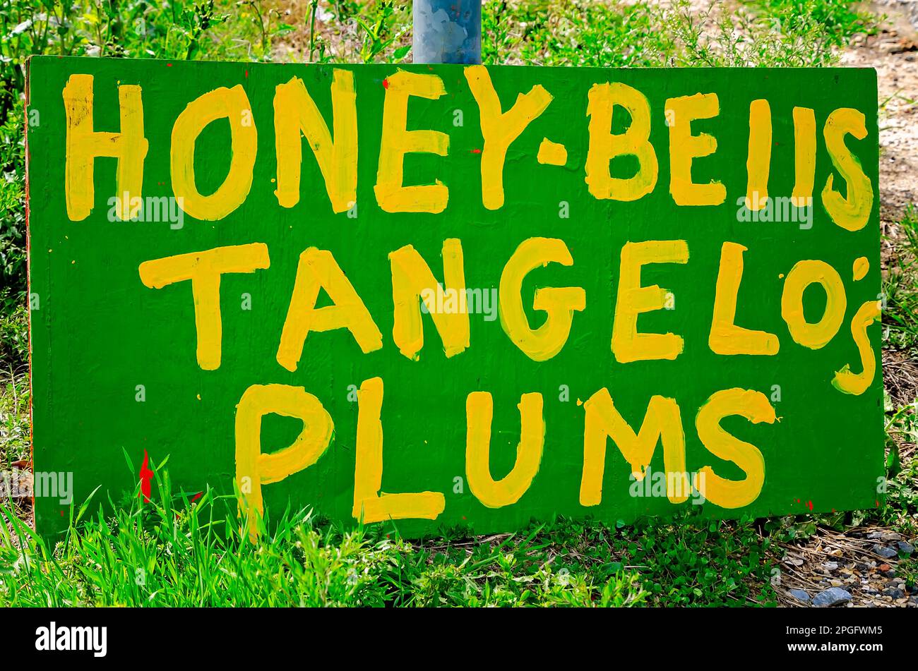 Signs for fruit are displayed at a roadside stand on Mississippi Highway 63, March 20, 2023, in Moss Point, Mississippi. Stock Photo