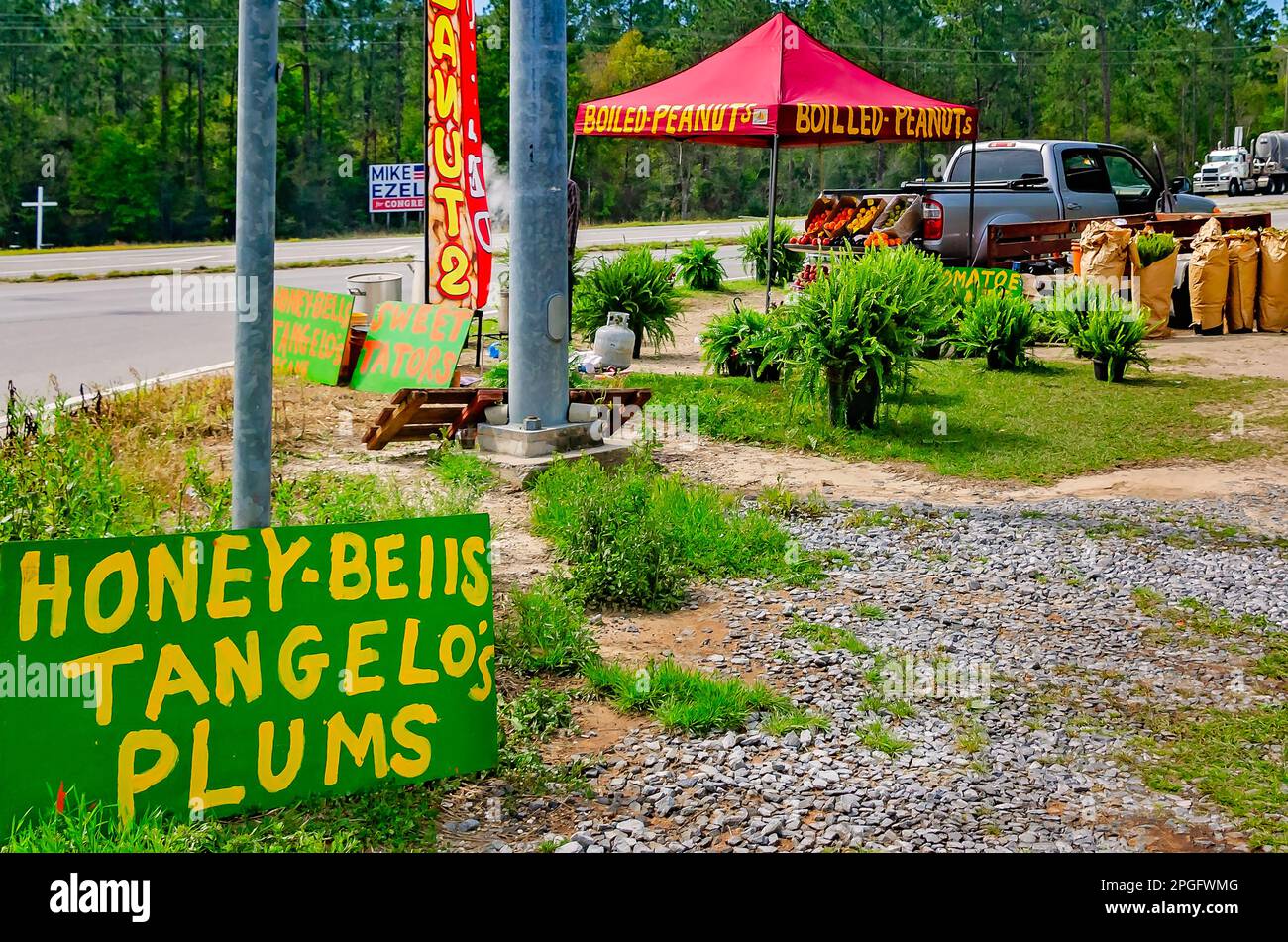 Boiled peanuts and assorted fruits and vegetables are sold at a roadside stand on Mississippi Highway 63, March 20, 2023, in Moss Point, Mississippi. Stock Photo