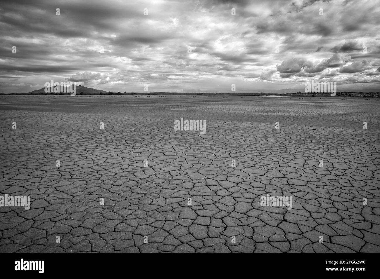 Wide landscape, Salt Flats, Utah, Black and White Stock Photo Alamy