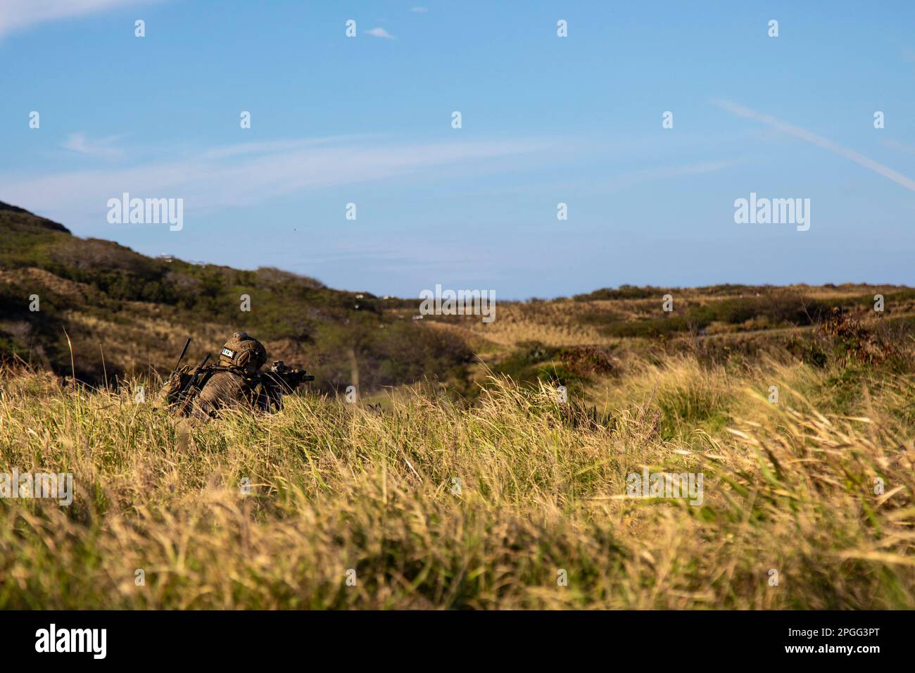 Hawaii Army Ranges A U.S. Army soldier with Bravo Company, 75th Ranger Regiment, engages a ...