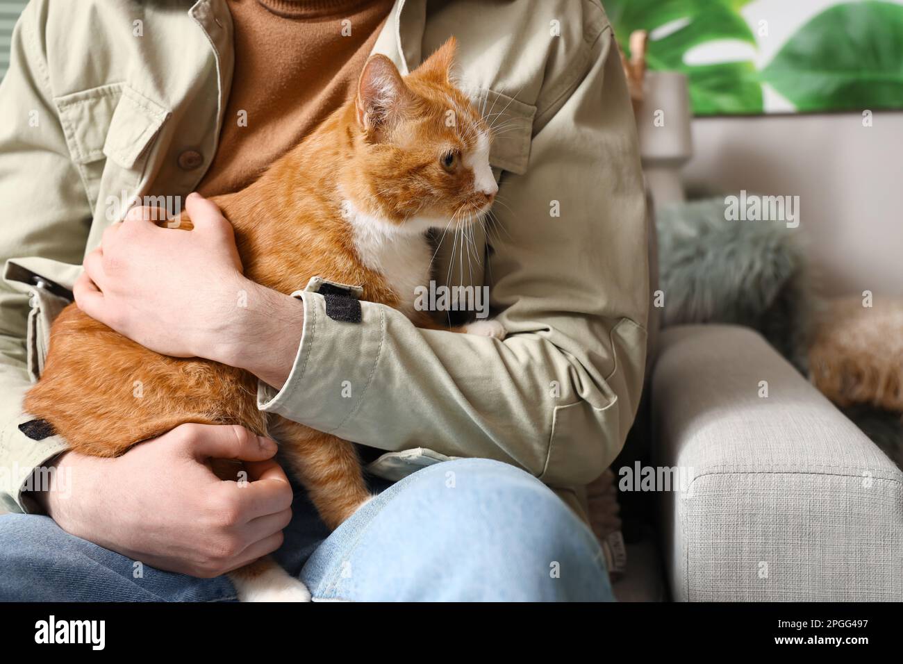 Red Cat Owner Tabby cat male owner hi-res stock photography and images - Alamy
