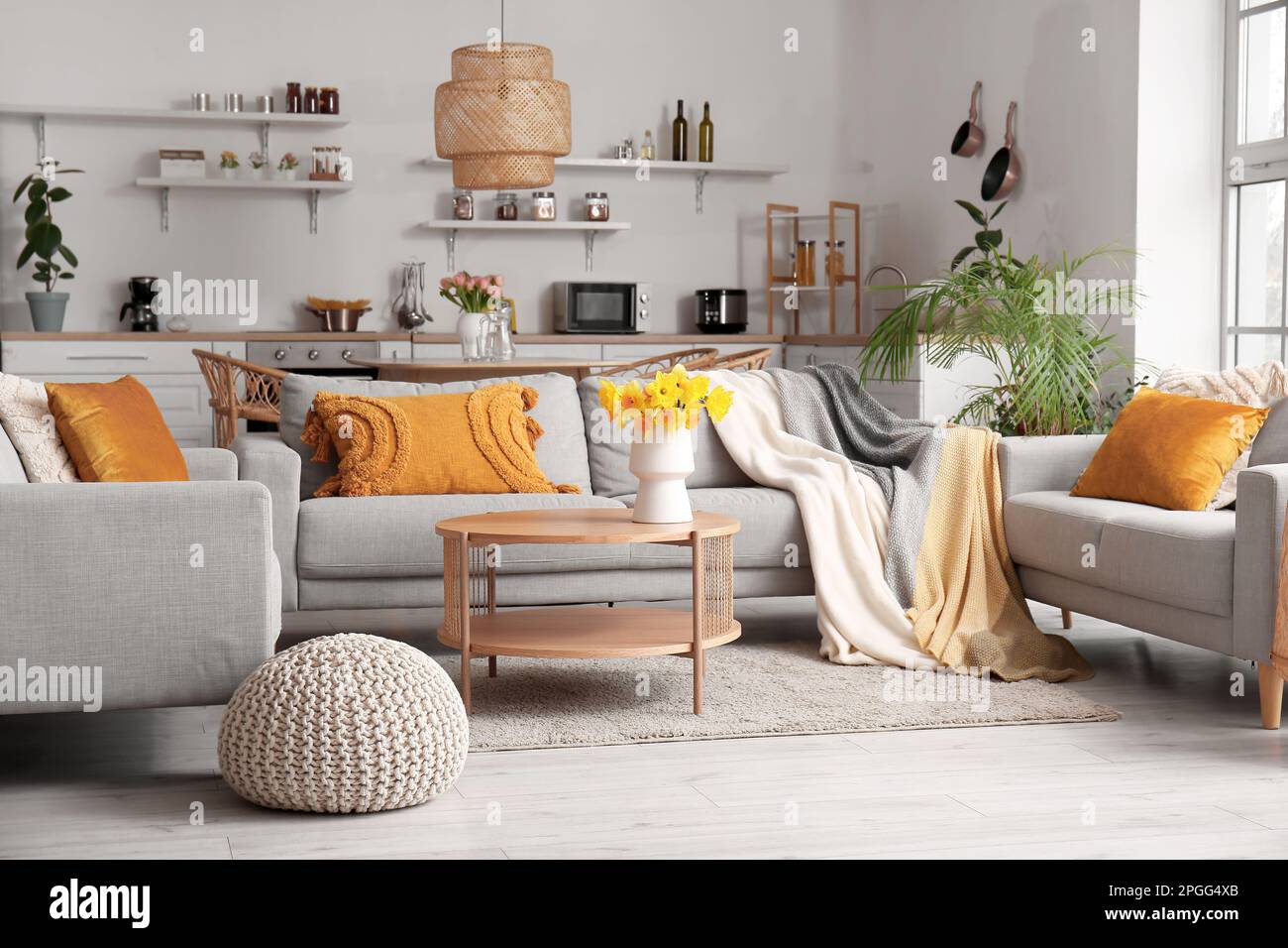 Interior of modern living room with cozy sofas and flower vase on ...