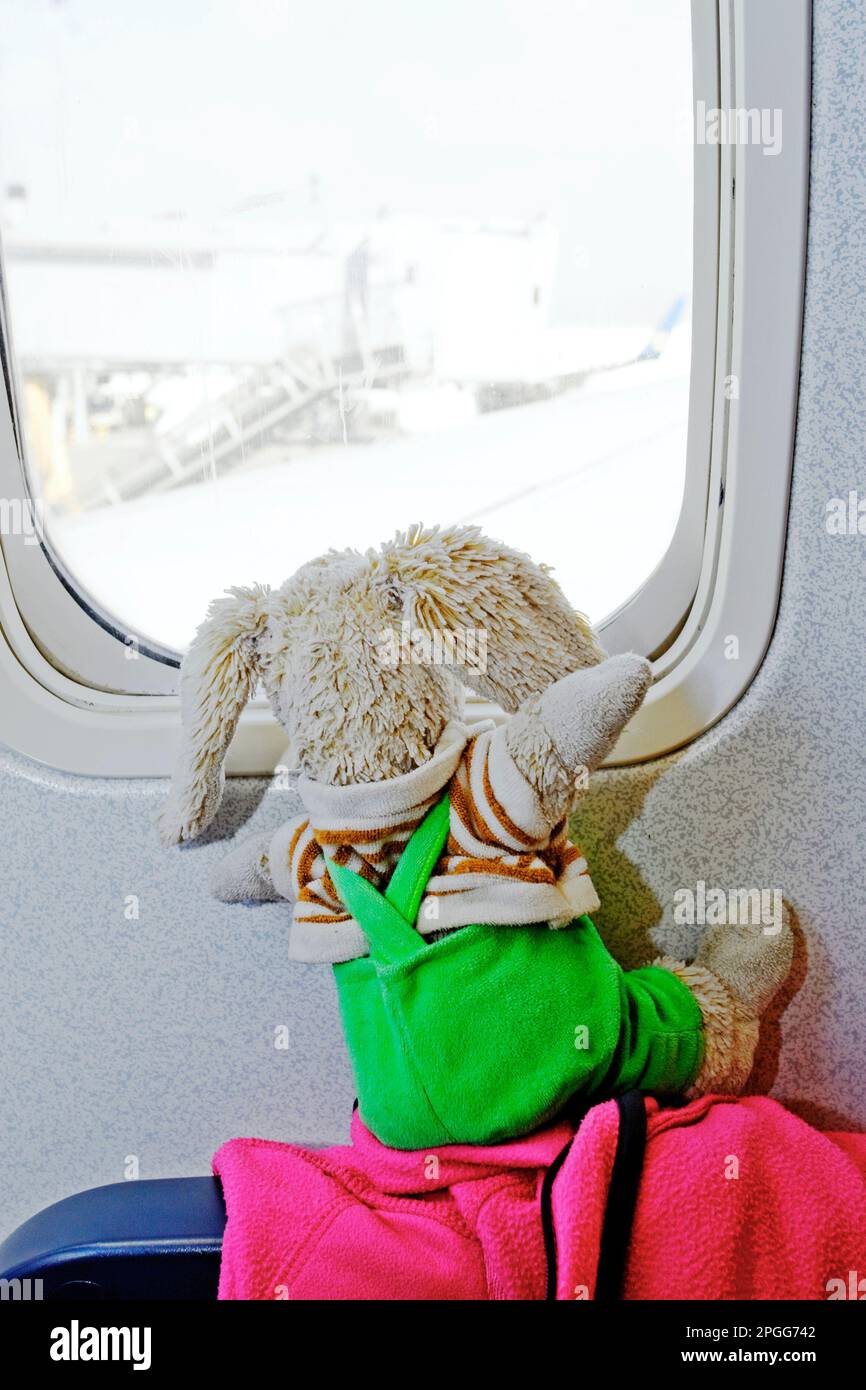 toy hare inside the plane in economy class Stock Photo