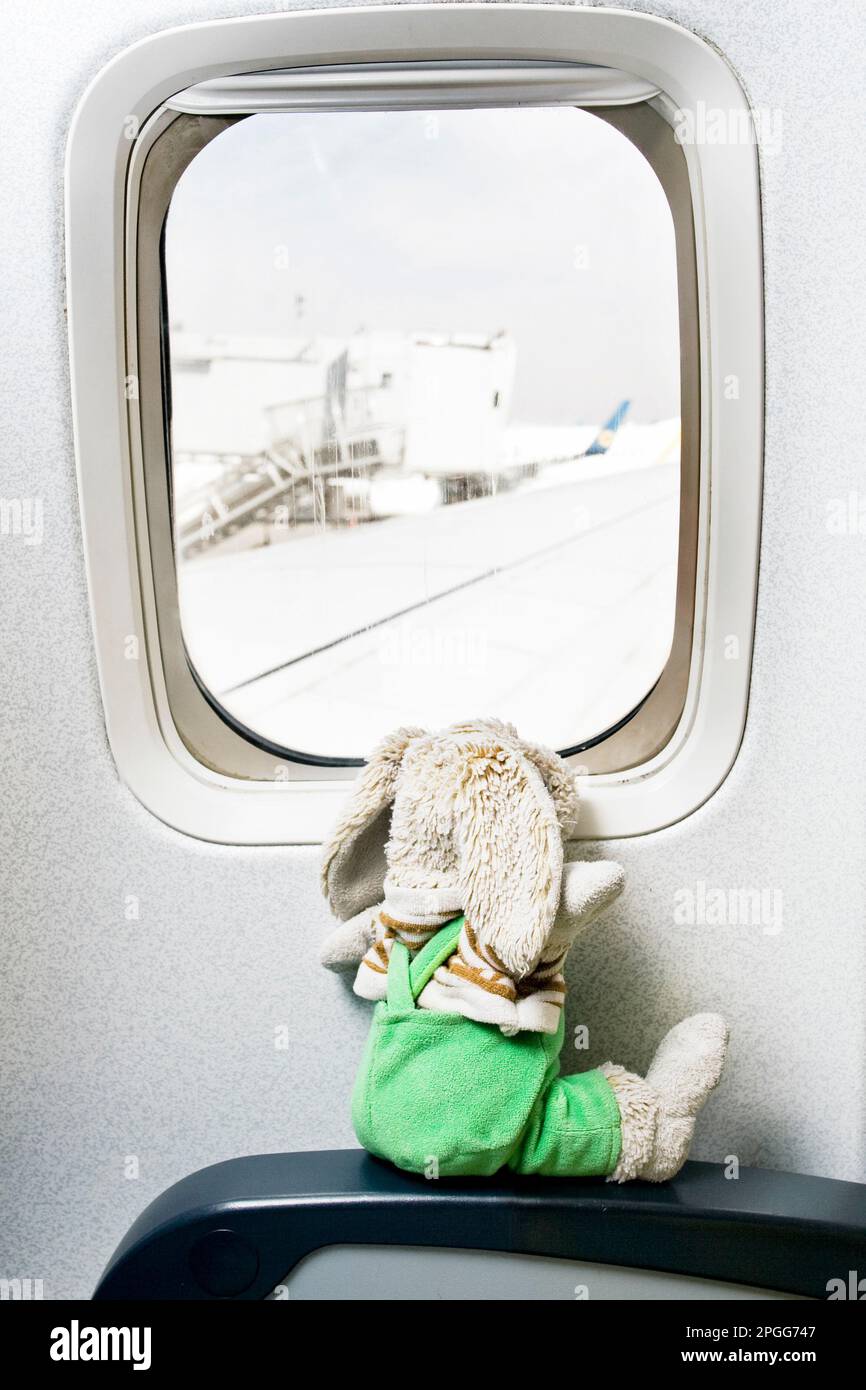 toy hare inside the plane in economy class Stock Photo
