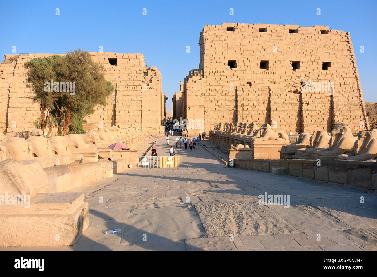 Ram headed Sphinx at Karnak Temple, Luxor Stock Photo