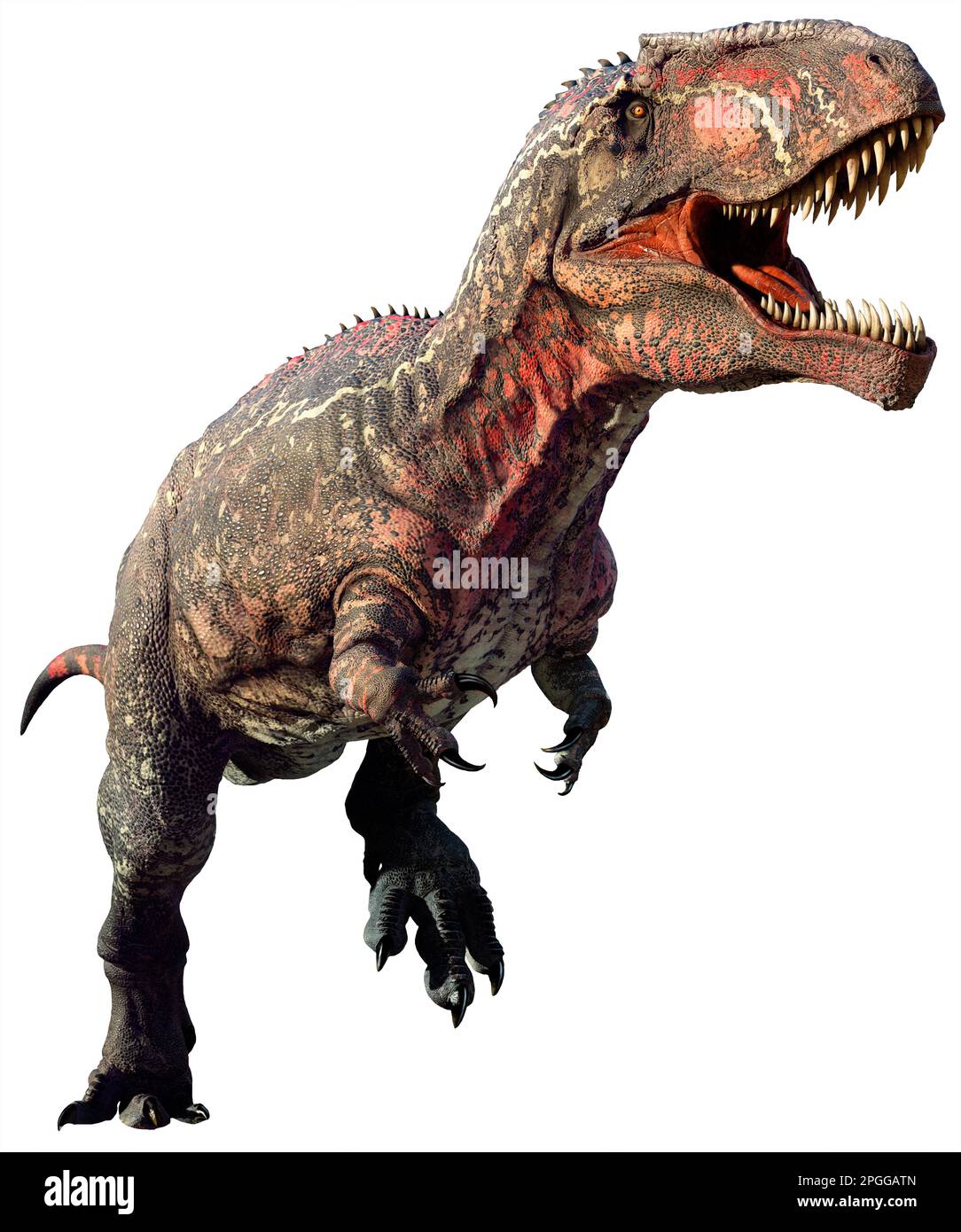 tyrannosaurus rex is running on ice age, 3d illustration Stock Photo - Alamy