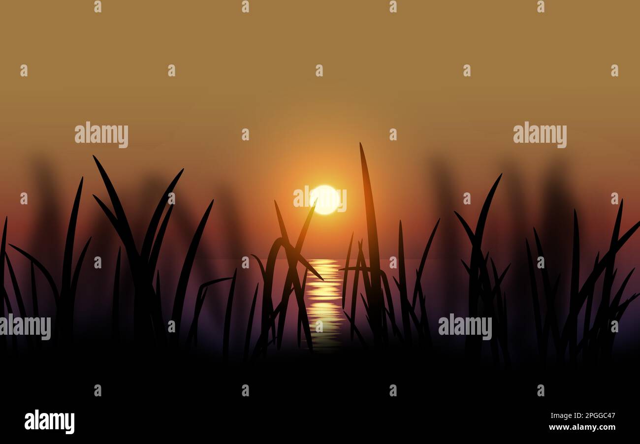 Vector illustration of grass silhouette on sunset Stock Vector Image ...