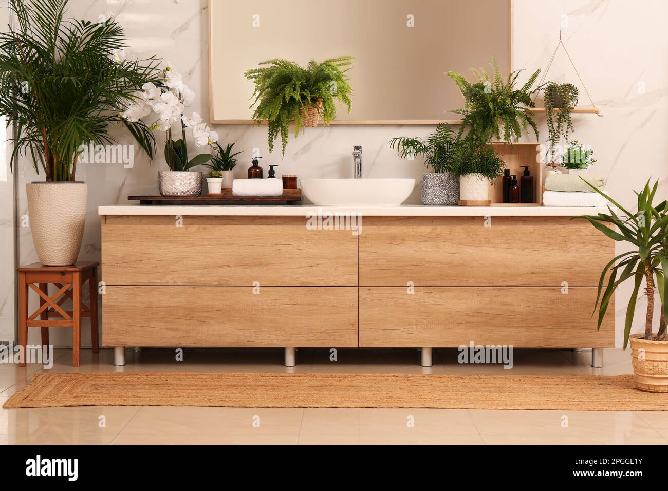 Bathroom decorated with green houseplants. Interior design Stock Photo ...