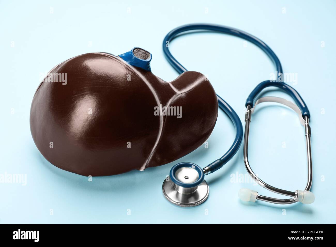 Stethoscope and liver model on light blue background Stock Photo