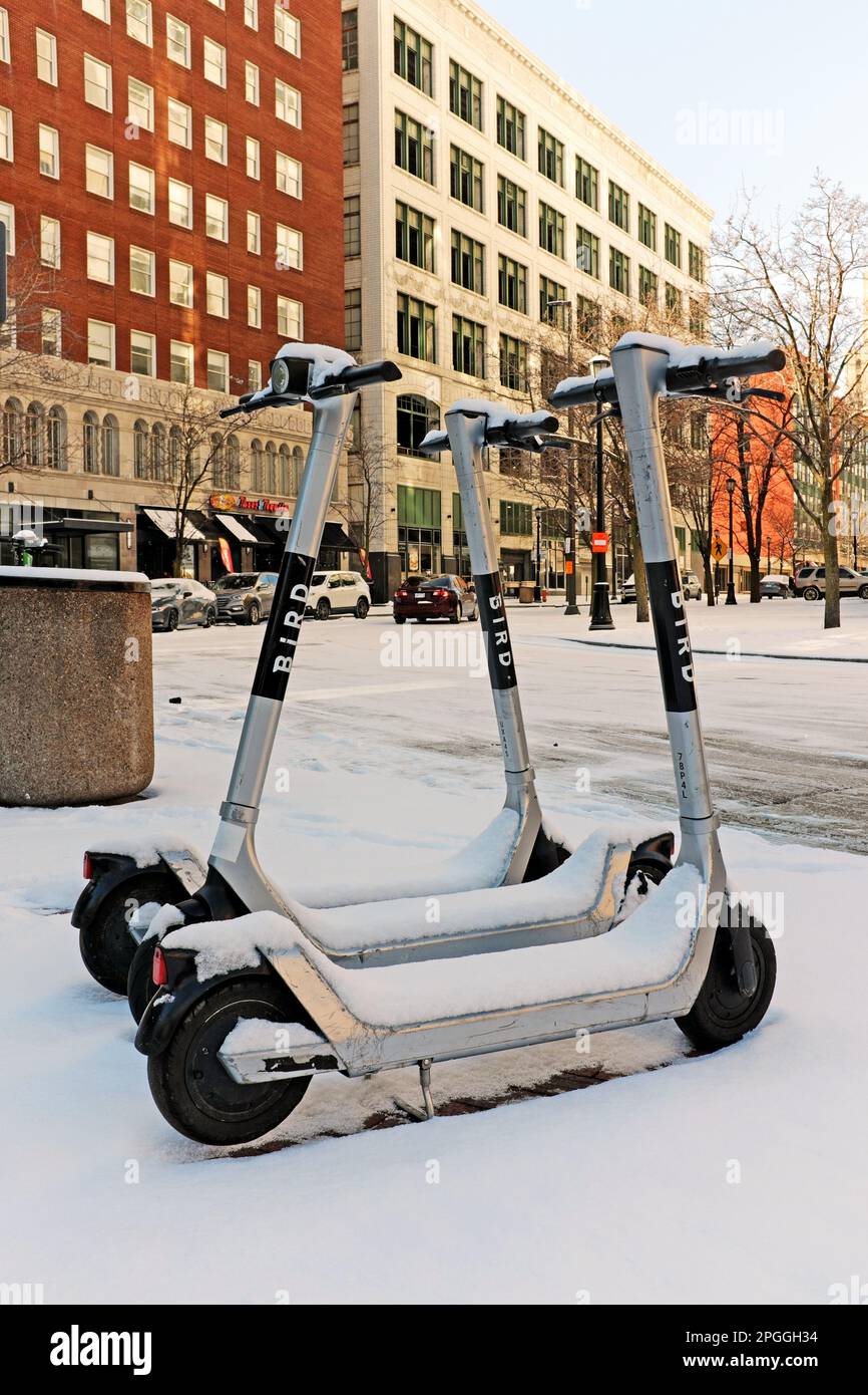 Three BIRD electric scooters covered in snow on a street corner in
