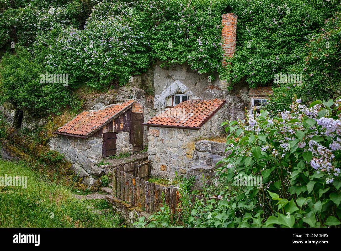 Schloss palace gardens Langenstein Harz Stock Photo Alamy
