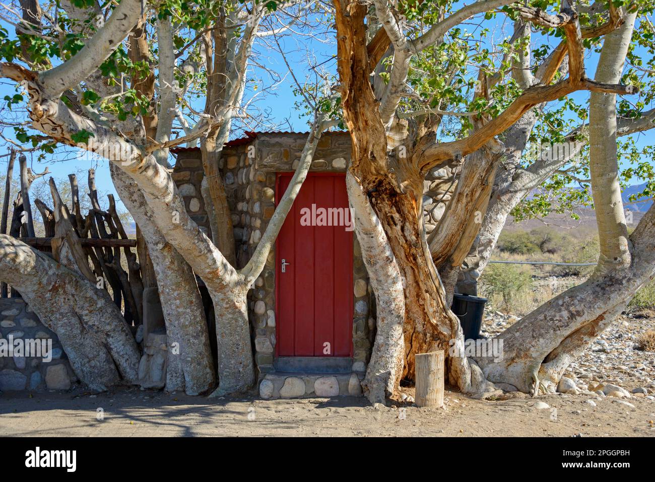 Sanitary facility inside a tree, Sanitary, Tsauchab River Camp, Namibia