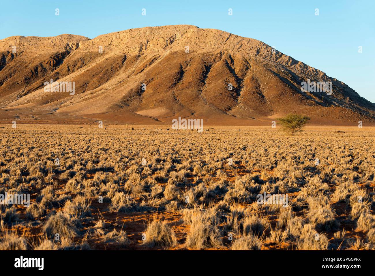 Mountains, landscape, C14, north of Solitaire, Namibia Stock Photo