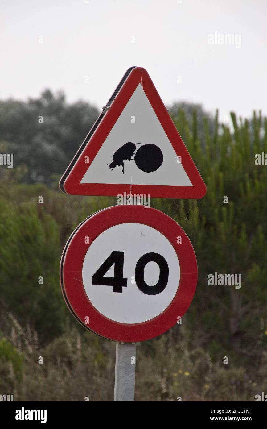 Road signs, Traffic signs, Road signs, Signs, Road sign of dung beetle with dung ball, Coto Donana national park Andalusia Spain Stock Photo