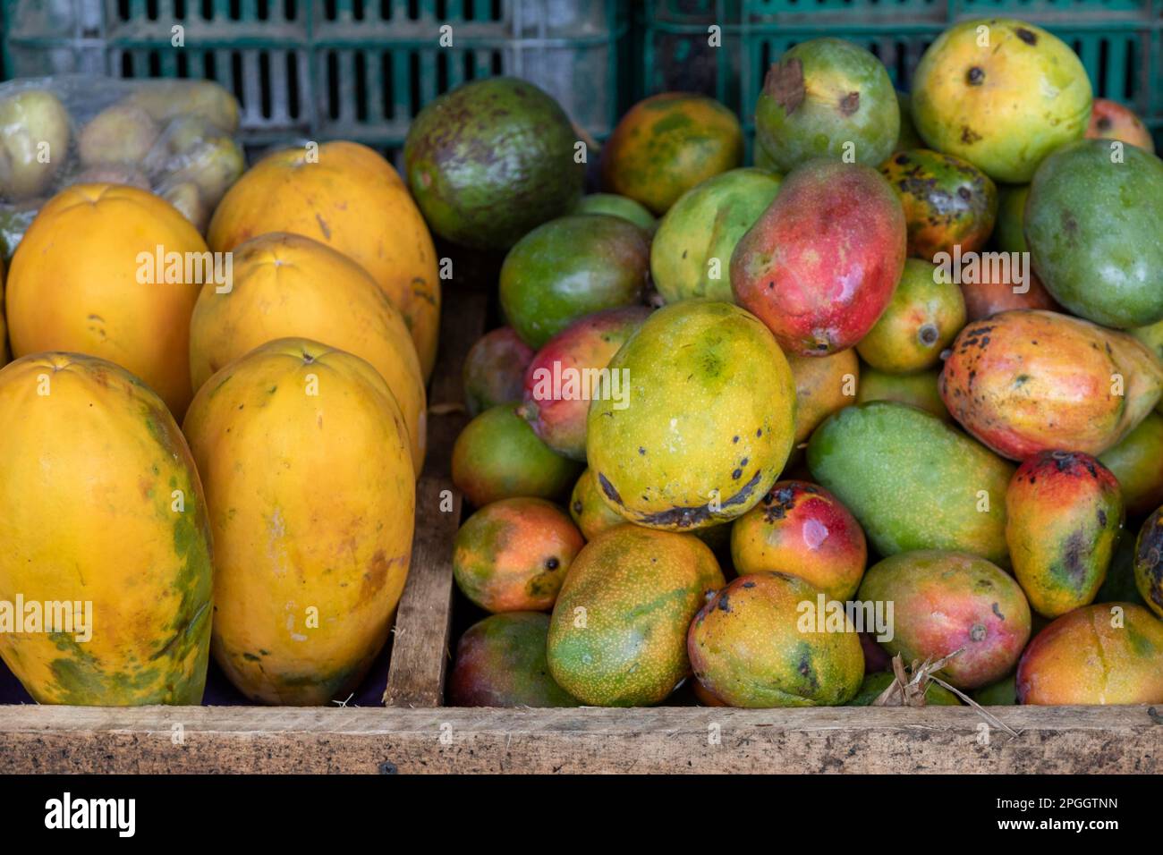 La Pavona, Costa Rica, Locallygrown papayas and mangos on sale at a