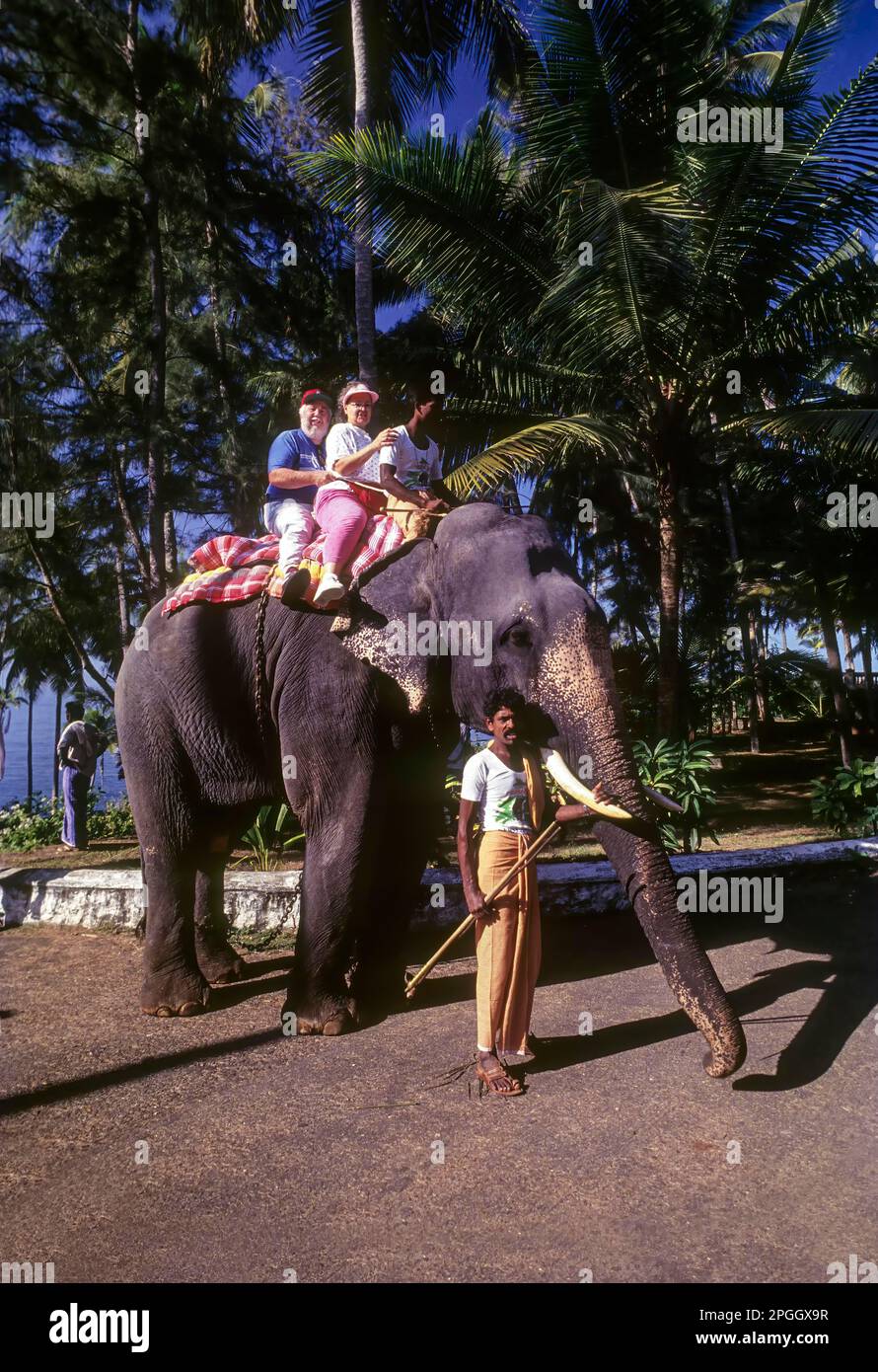 Tourists on an elephant ride at Kovalam near Thiruvananthapuram Trivandrum, Kerala, South India