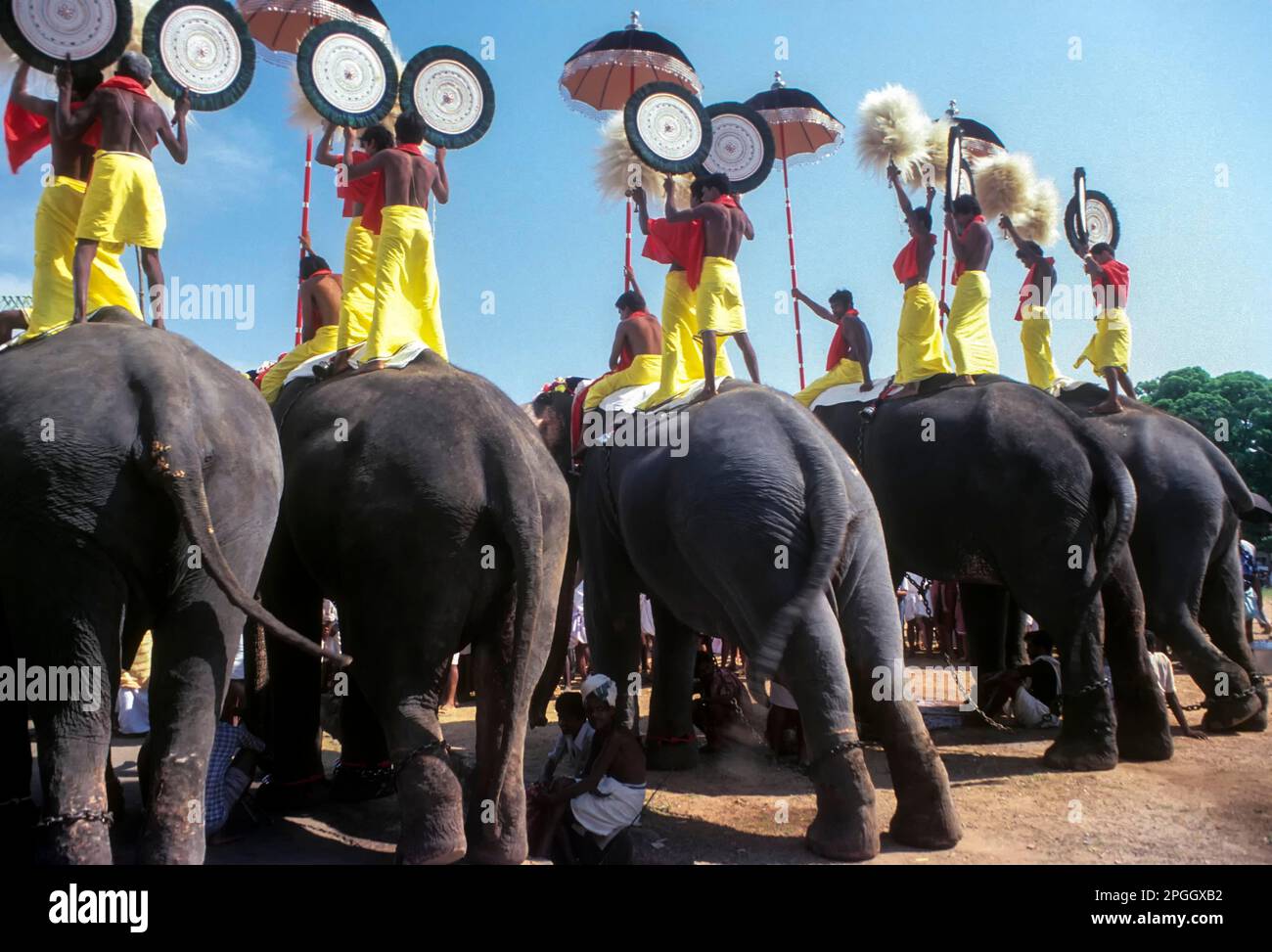 Pooram festival in Thrissur or Trichur, Kerala, India, Asia Stock Photo ...