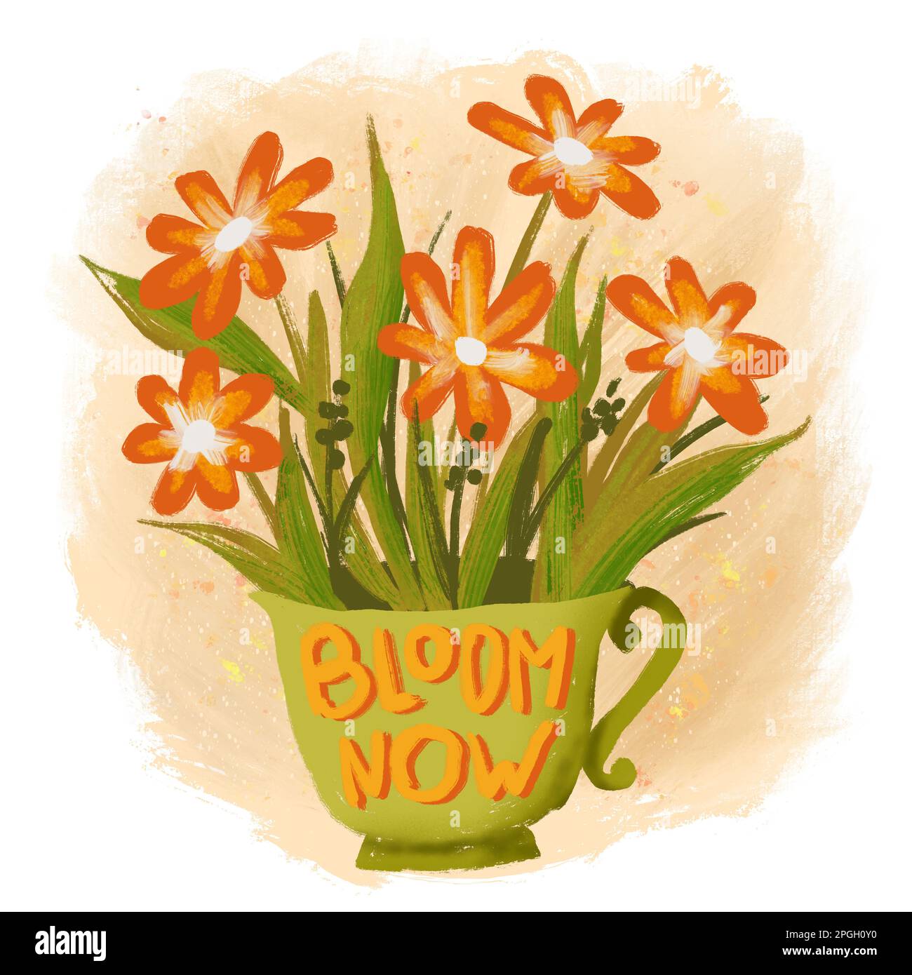 Hand drawn illustration of blom now phrase with flowers and tea 
