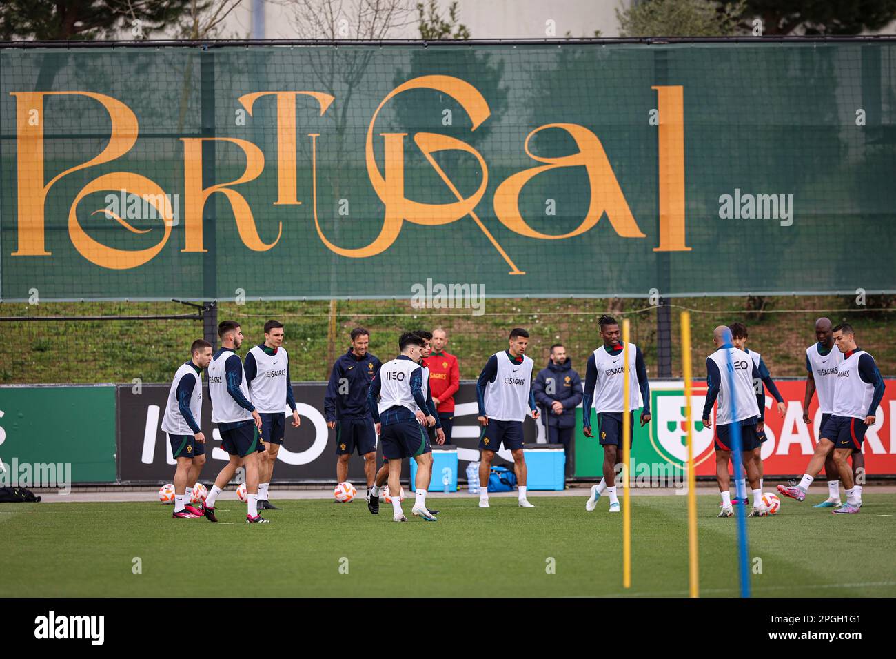 11837853 - UEFA European Qualifiers - Portugal training sessionSearch