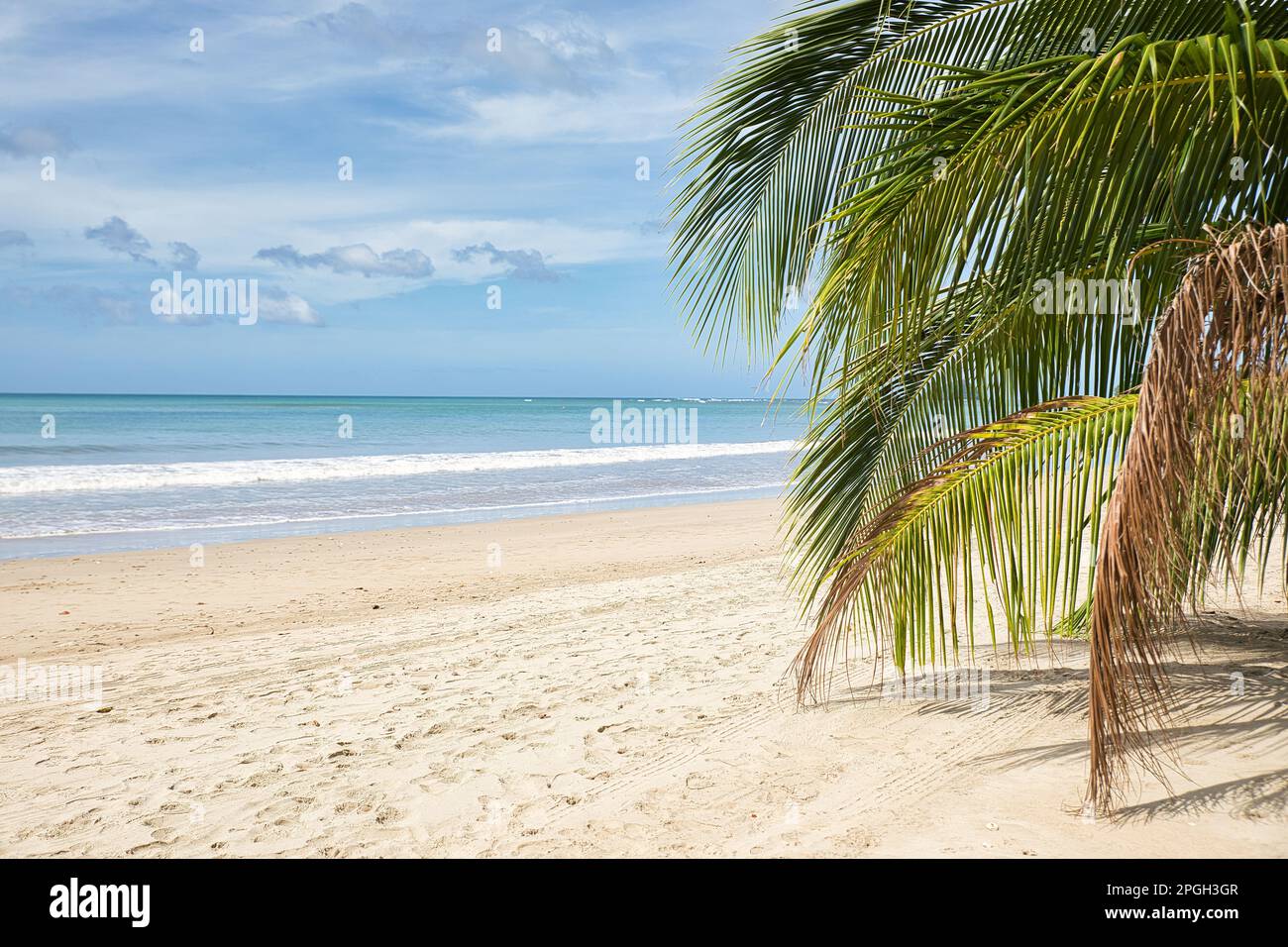Image showcasing Dreamlike idyllic beach of El Nideo, Palawan in the Philippines, with a ...