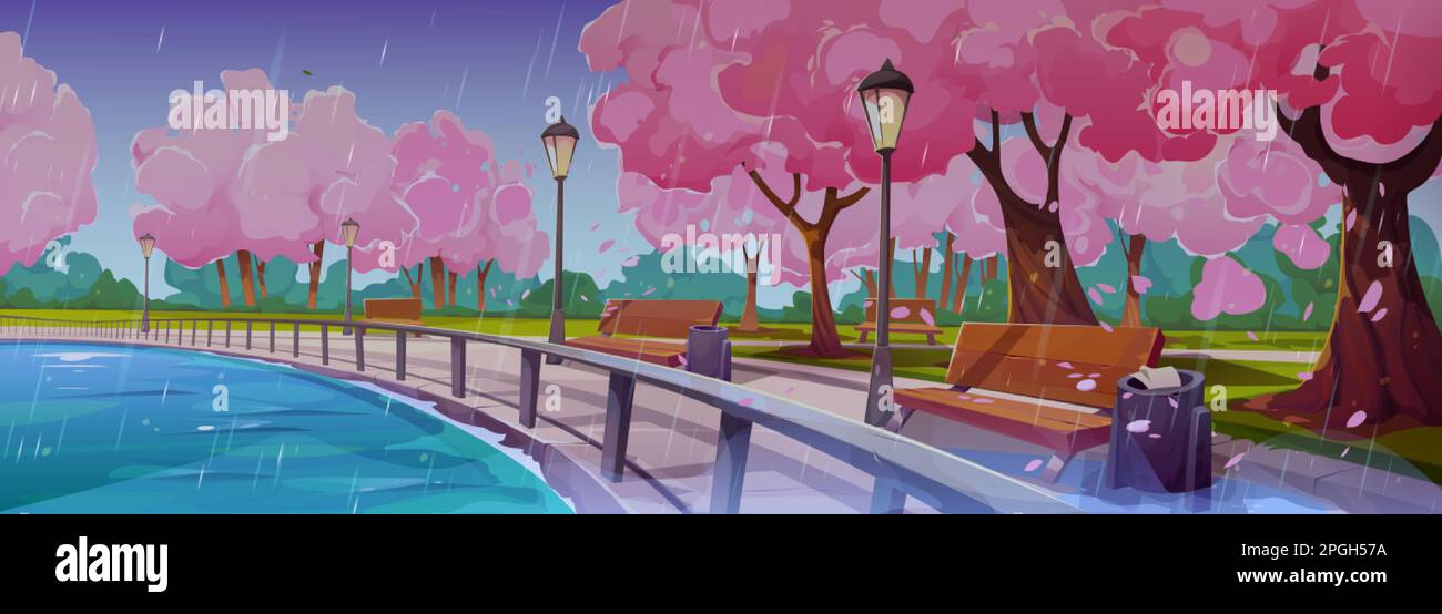 Spring landscape with embankment, japanese sakura trees, lake and benches in rain. Park or garden with chinese cherry trees on river shore in rainy we Stock Vector