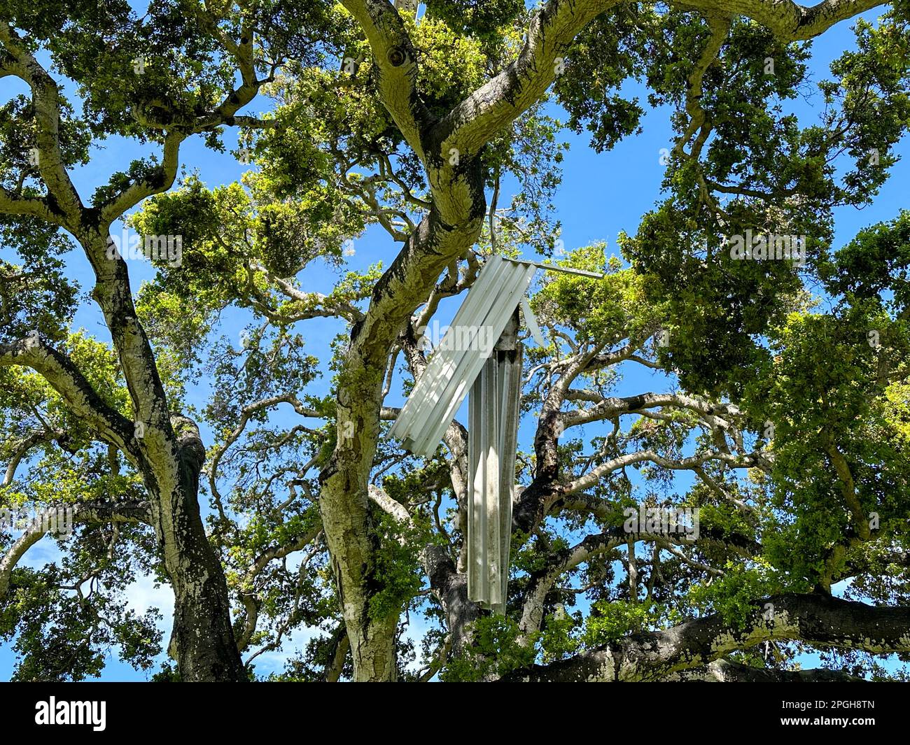Tornado damage mobile home park hires stock photography and images Alamy