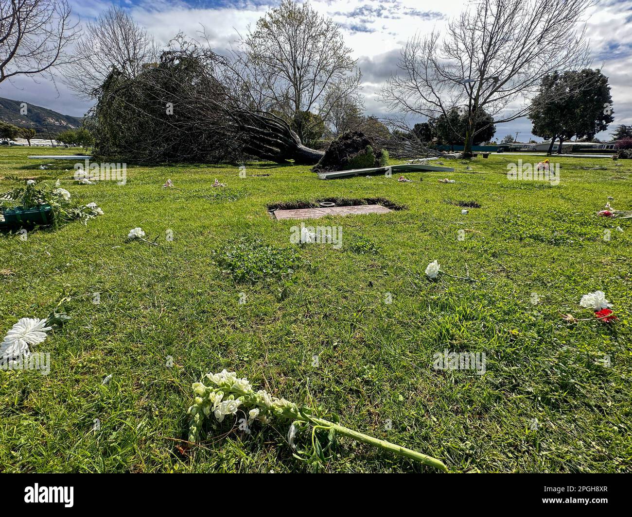 Carpinteria, California, USA. 22nd Mar, 2023. A freak tornado swirled