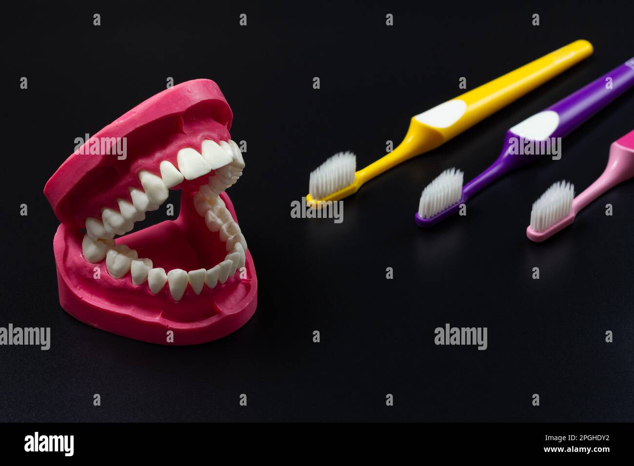 Toothbrushes and layout of human jaw on the black background Stock ...