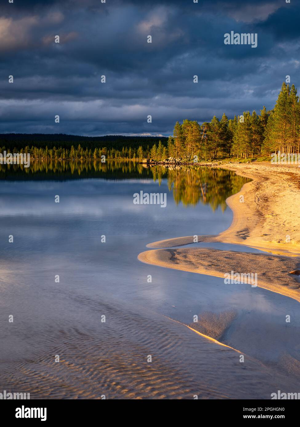 An evening landscape of Lake Femunden in Norway, reflecting a serene summer sky and surrounded by sand, trees and wilderness. Stock Photo