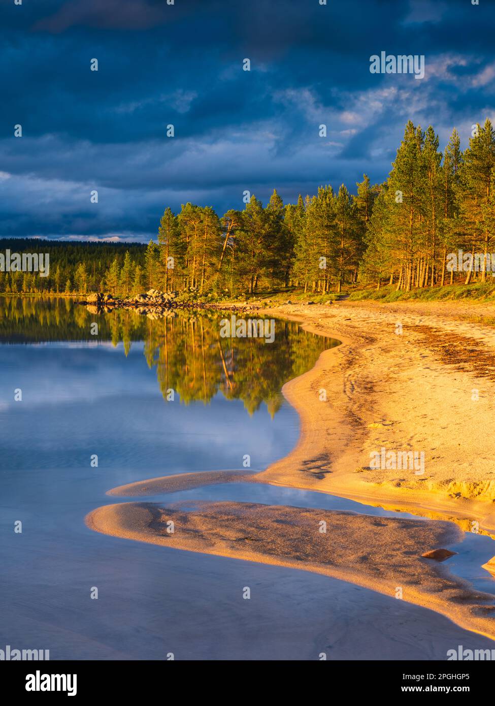 An evening landscape of Lake Femunden in Norway, reflecting a serene summer sky and surrounded by sand, trees and wilderness. Stock Photo