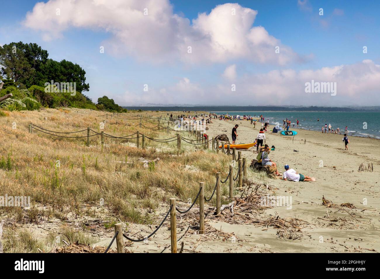 11 December 2022: Nelson, New Zealand - Families on the beach at Tahuna Beach, playing on sand and in sea. Stock Photo