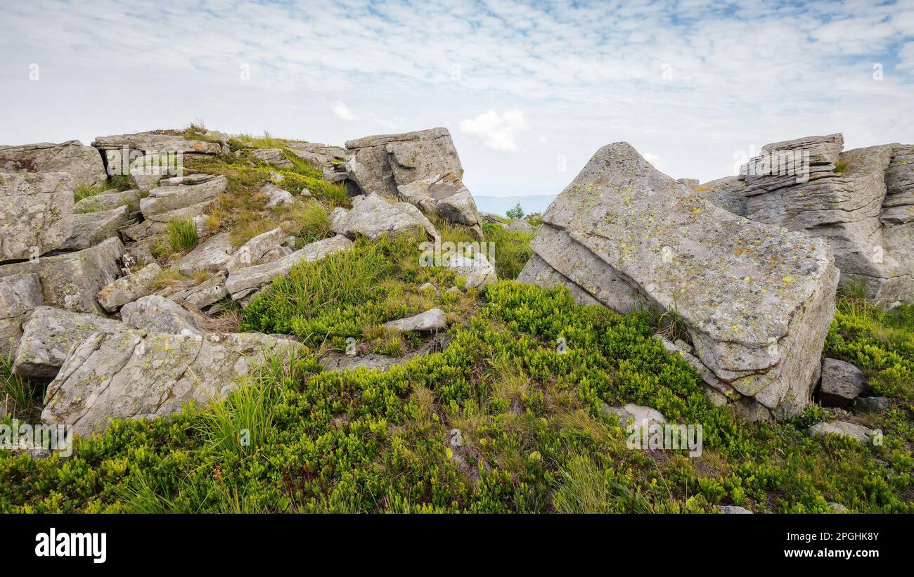 wonderful summer landscape in mountains. grassy meadows and rolling hills. boulders and stones on the hillside. picturesque scene in morning light. uk Stock Photo