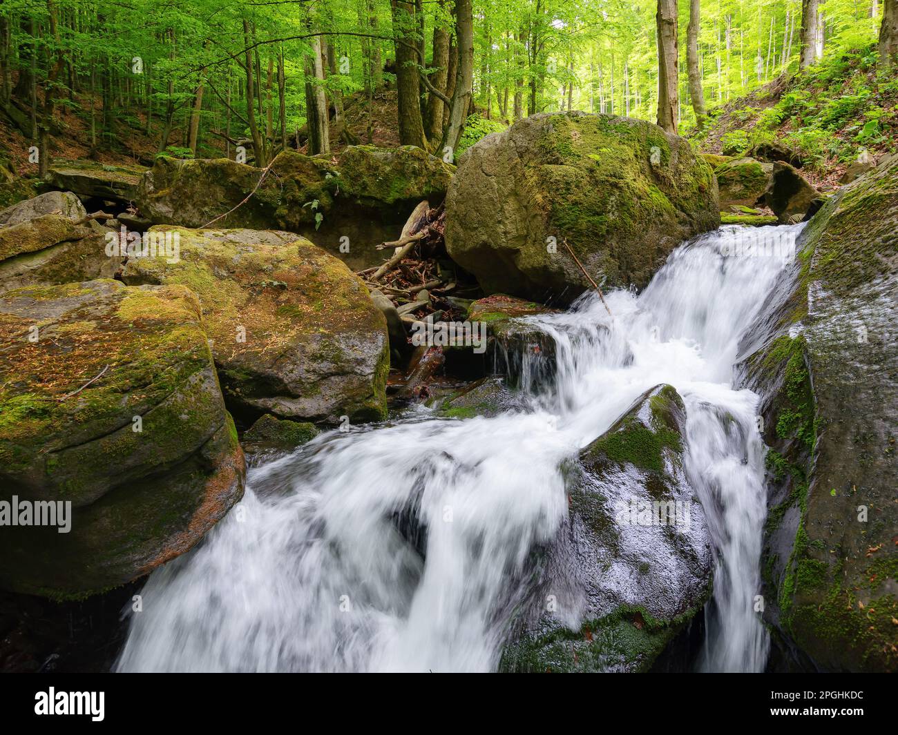 brook among stones in woods form small waterfall. refreshing scenery in summer. clear water in nature concept Stock Photo