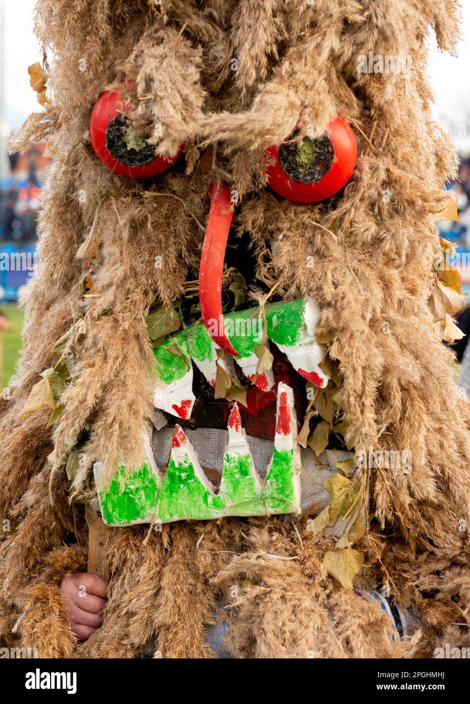 Kukeri participant with distinctive weird large mask from Brejani village at the annual Simitlia Kukeri winter festival in Simitli, Bulgaria Stock Photo