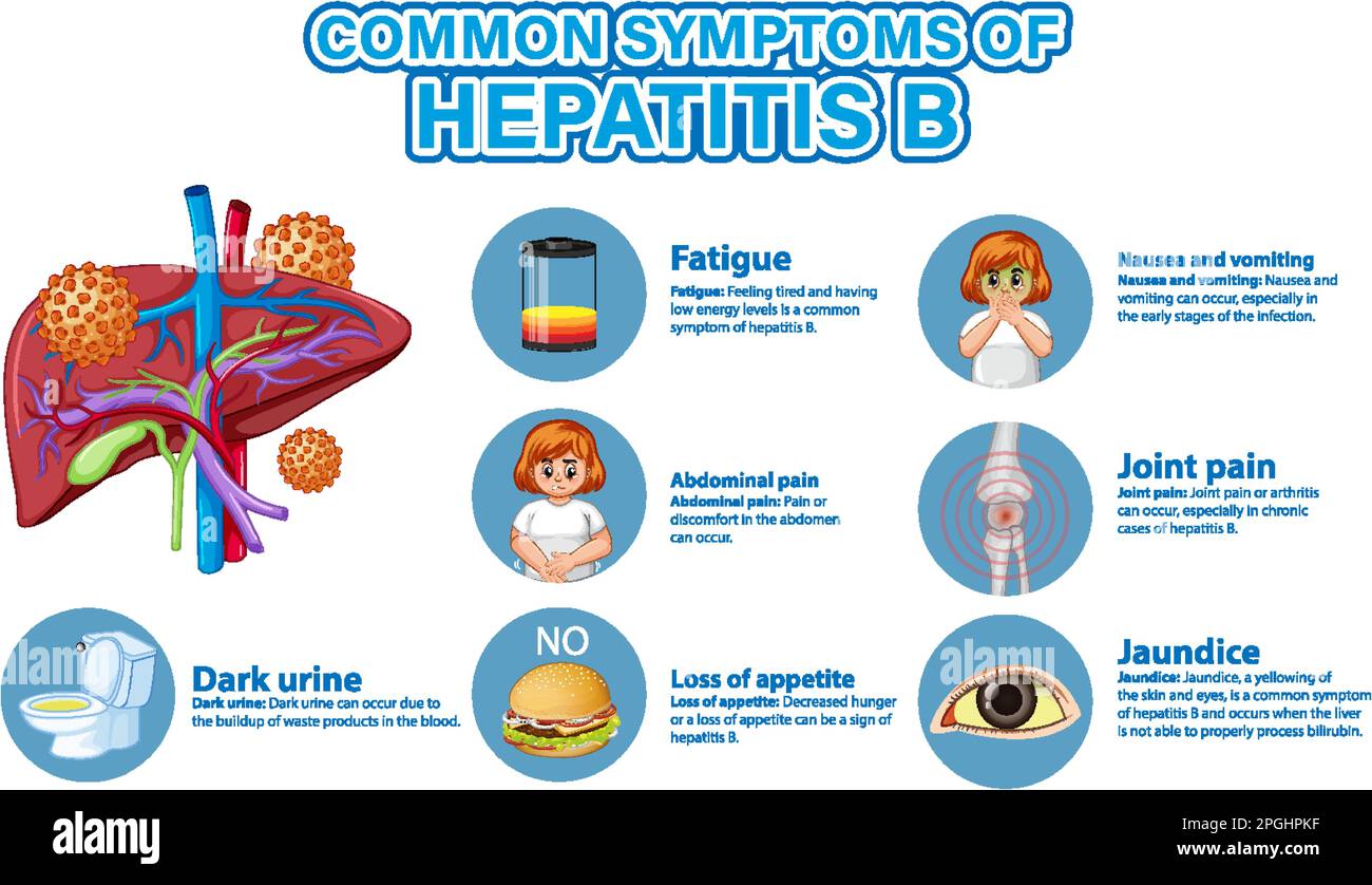Informative poster of common symptoms Hepatitis B illustration Stock