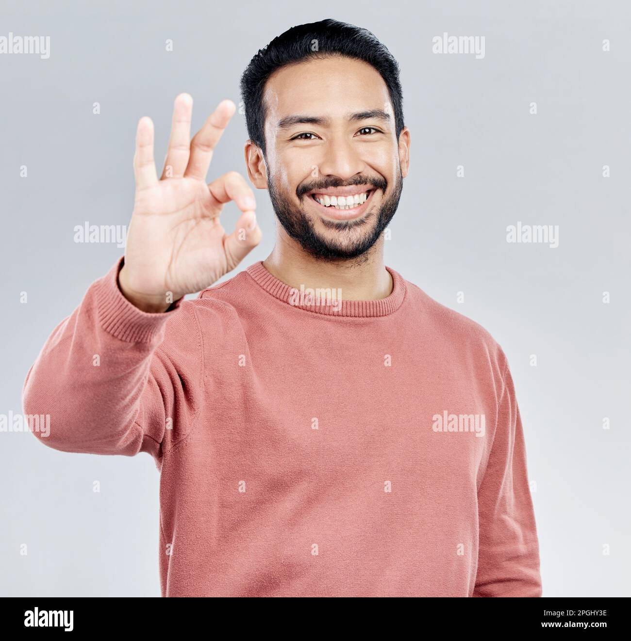 Hand, portrait and okay sign by man in studio with yes, vote or