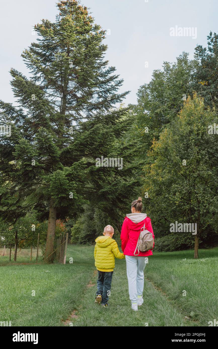 Beautiful family -Mom with small son on a walk in autumn sunny nature. Happy couple holding hands. Back view. Young mother with her little baby boy ha Stock Photo