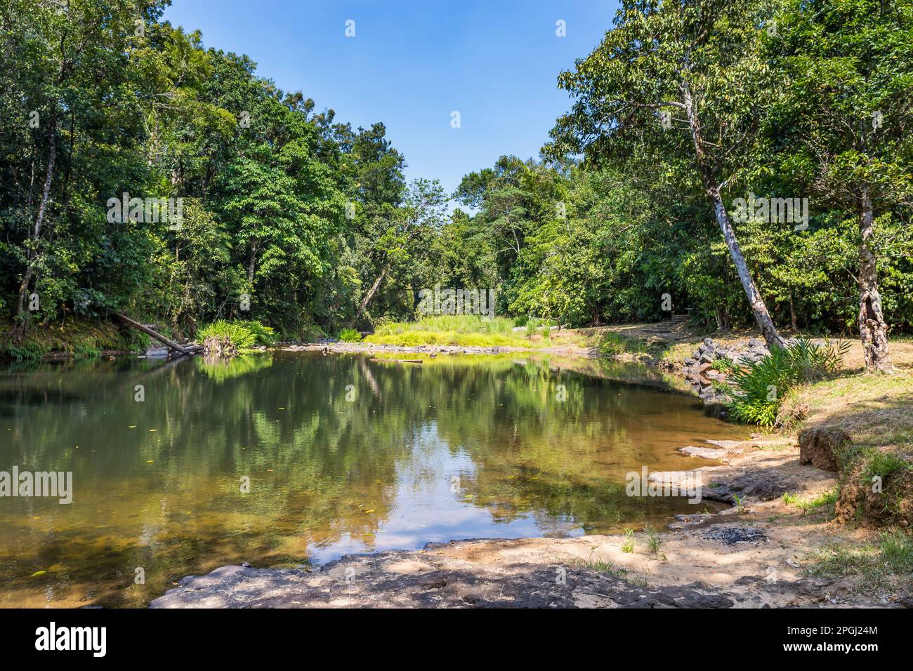 Wetland with Ponds of Wooroonooran National Park, Atherton Tablelands, Queensland, Australia. Stock Photo