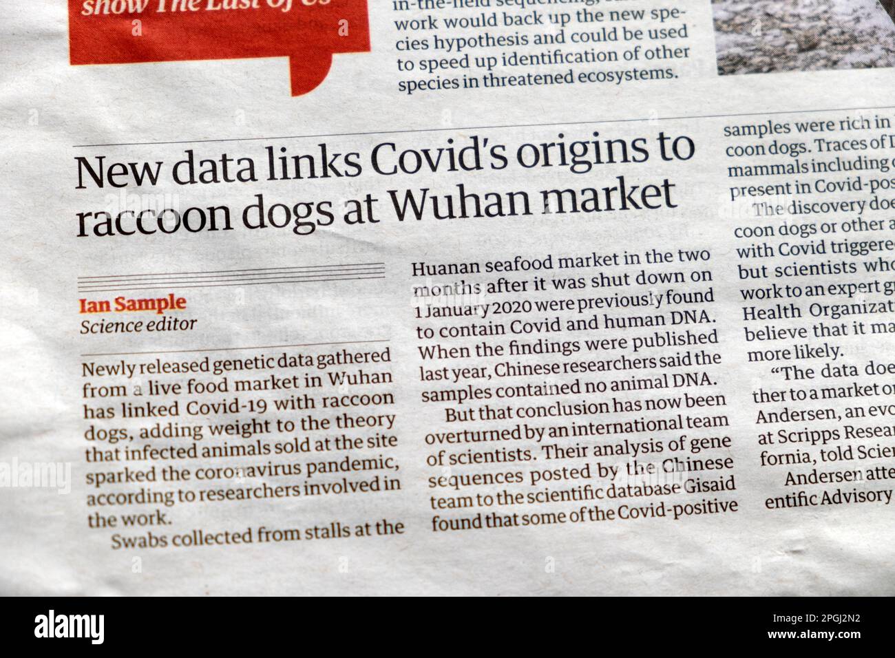 'New data links Covid 's origins to raccoon dogs at Wuhan market