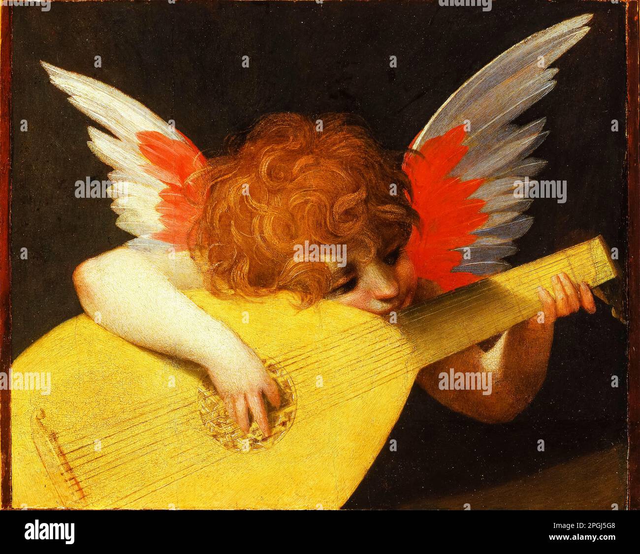 Rosso Fiorentino, Musical Angel, (Altarpiece fragment), painting in oil on panel, circa 1522 Stock Photo