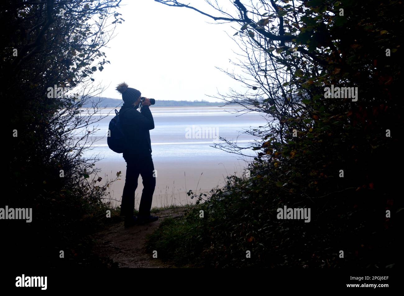 Woman (Hiker/Photographer) Silhouetted Taking Photos in Firth Wood from ...