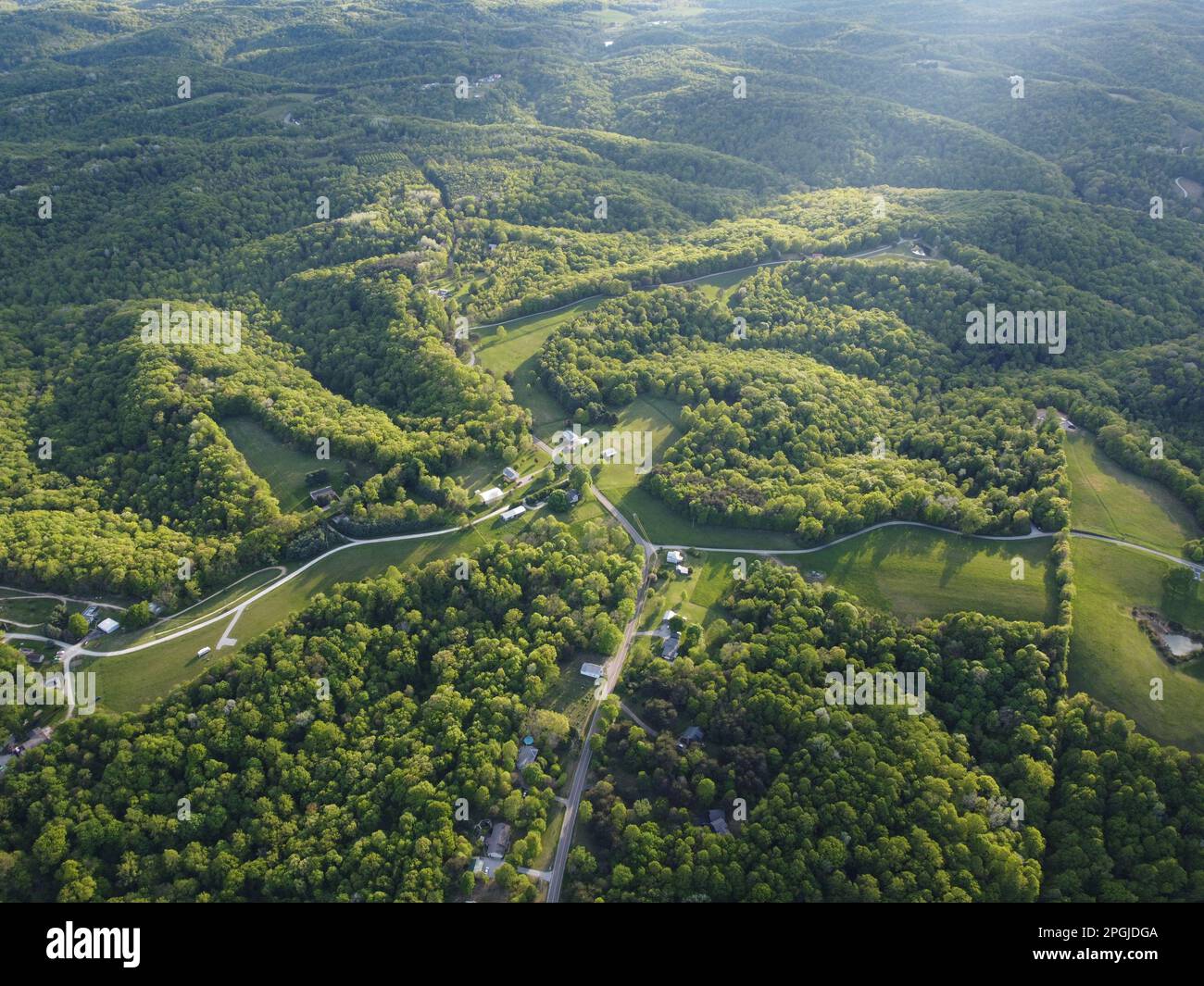 Lush green hillside dotted hi-res stock photography and images - Alamy